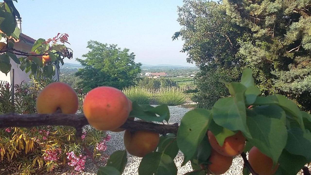 Bed and Breakfast Masmazan Esterno foto
